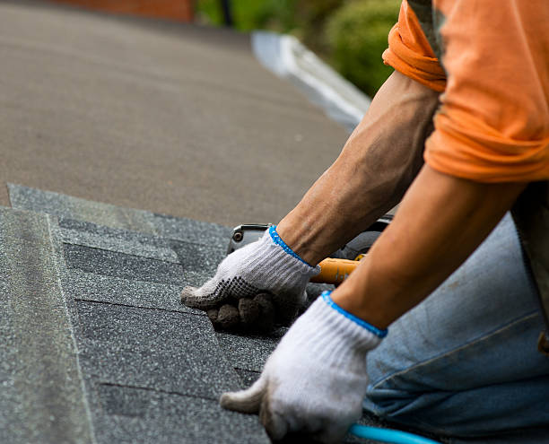 Best Roof Leak Repair  in Bellmawr, NJ